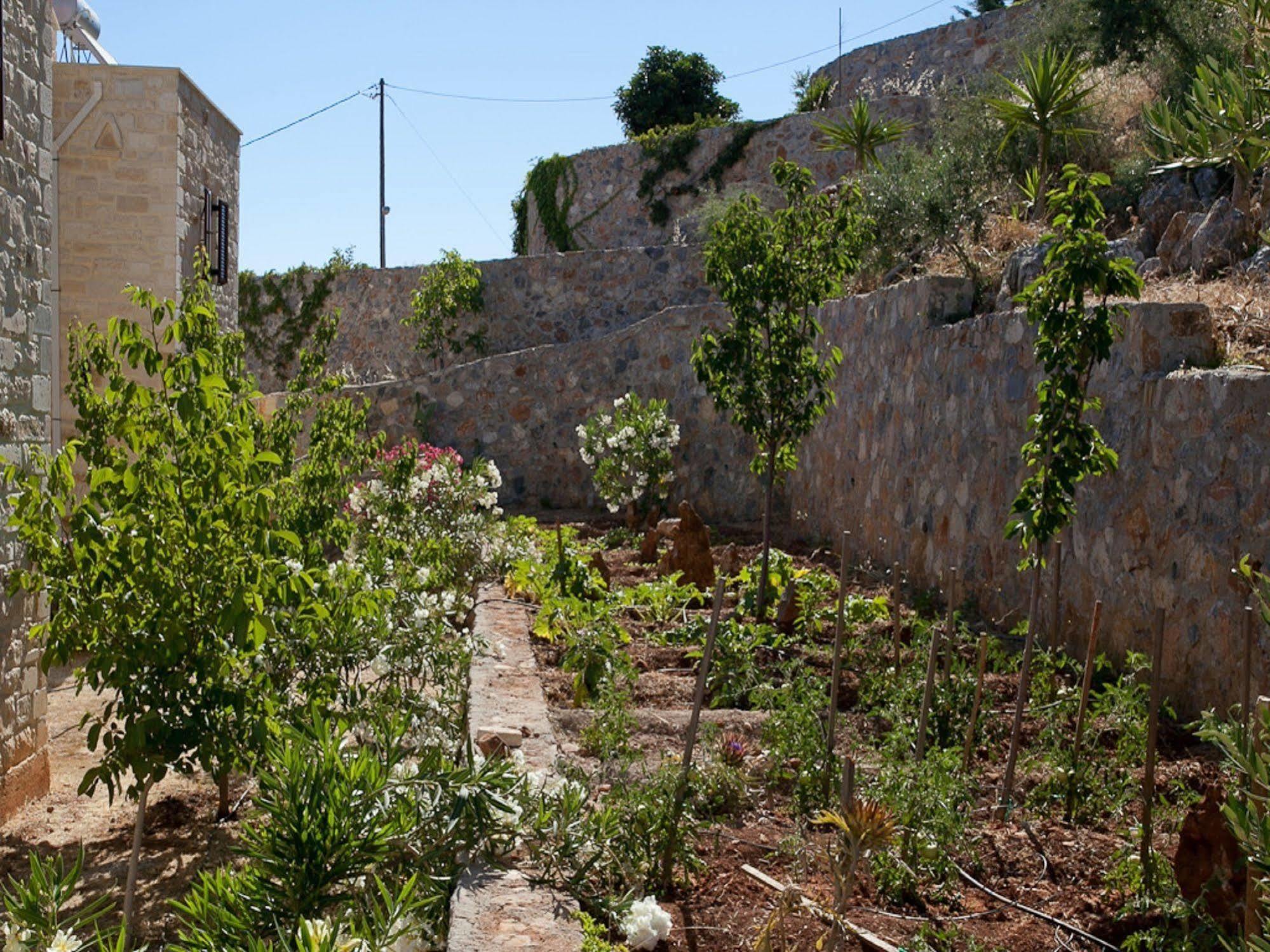 Villa Apollo - Saint George'S Retreat Village Kokkino Chorio Экстерьер фото